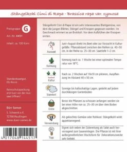 Stängelkohl Cimi Di Rapa, Blattgemüse, Jungen Blätter Stängel Und Knospen Zum Verzehr Geeignet