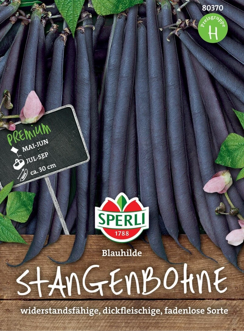 Stangenbohne Blauhilde, Fadenlos Sehr Ertragreich Virusresistent Und Widerstandsfähig – Bild 2