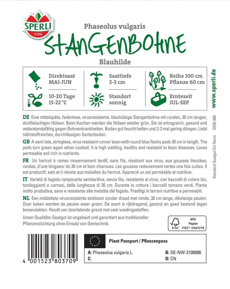 Stangenbohne Blauhilde, Fadenlos Sehr Ertragreich Virusresistent Und Widerstandsfähig – Bild 3