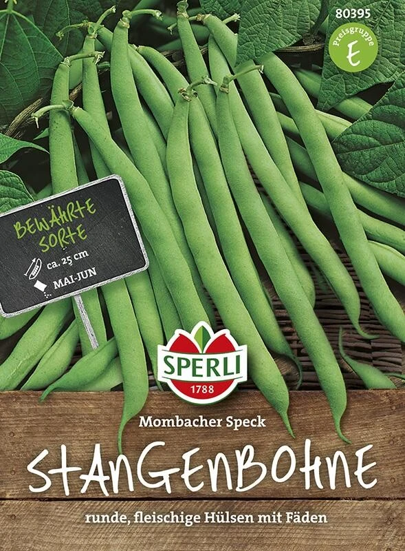 Stangenbohne Mombacher Speck, Frühe Sorte Mit Kräftigem Wuchs Und Dichtem Behang – Bild 2