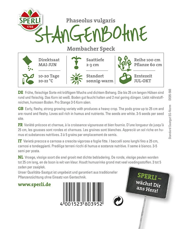 Stangenbohne Mombacher Speck, Frühe Sorte Mit Kräftigem Wuchs Und Dichtem Behang