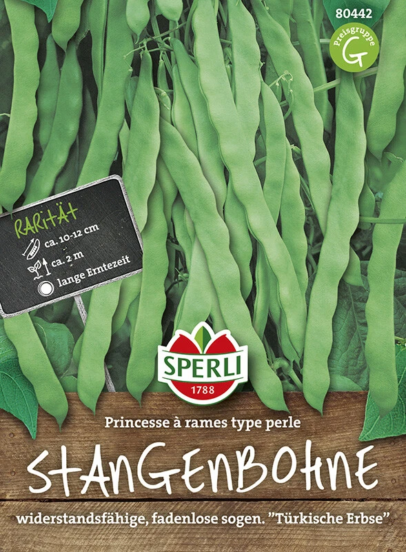 Stangenbohne Princesse A Rames (Türkische Erbse) – Bild 2