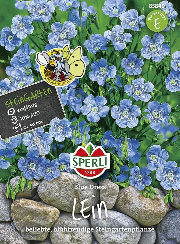 Staudenlein Blue Dress – Bild 2