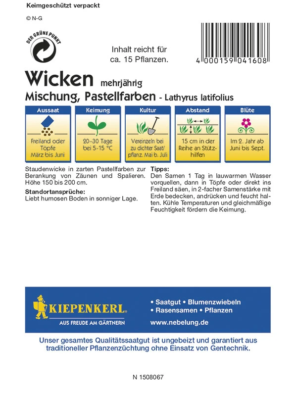 Staudenwicke Pastellfarben-Mischung, Zur Berankung Von Zäunen Und Spalieren, Gute Schnittblume – Bild 2