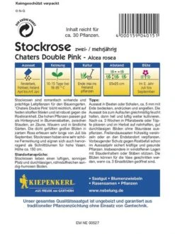 Stockrose Chaters Pink | Blüht Reichlich | Robust Gegen Die Rostkrankheit | Mehrjährig