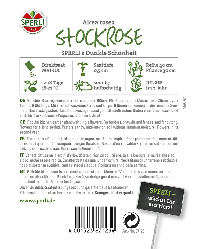 Stockrose Dunkle Schönheit | Schnell Wachsende Sorte Mit Ungefüllten Blüten | Dunkler Farbton