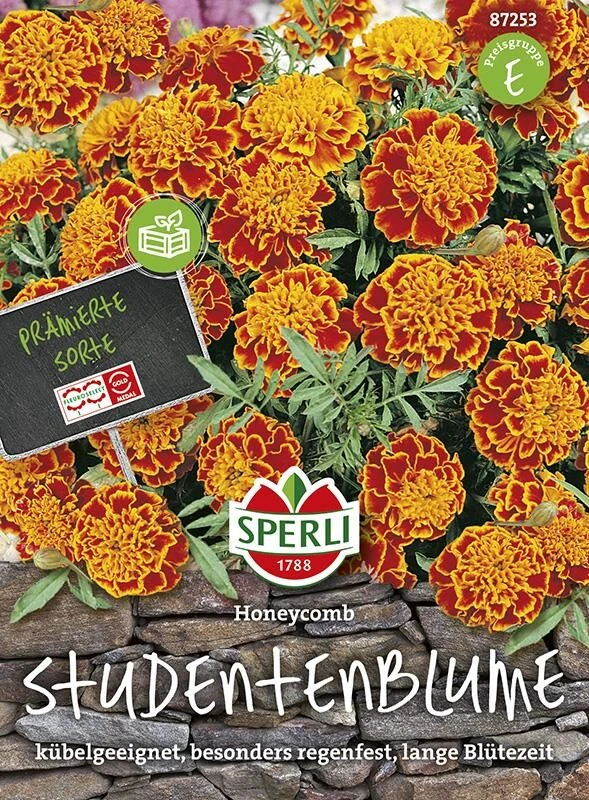 Studentenblume Honeycomb, Unverwüstlich Lange Andauernder Blütenreichtum, Bekämpft Nematoden