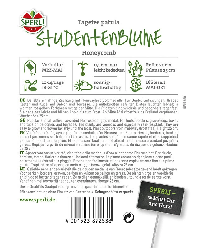 Studentenblume Honeycomb, Unverwüstlich Lange Andauernder Blütenreichtum, Bekämpft Nematoden – Bild 2