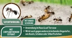 Substral Ameisenspray Gebrauchsfertiges Kontaktspray, Zur Bekämpfung Von Ameisen, 750 Ml Sprühflasche