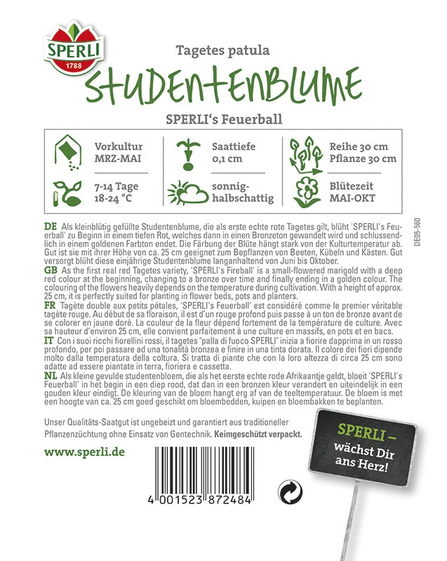 Tagetes Sperli's Feuerball Studentenblume – Bild 2