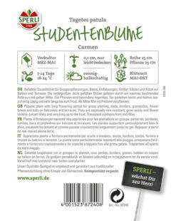 Tagetes Studentenblume Carmen