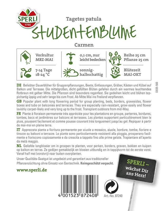 Tagetes Studentenblume Carmen
