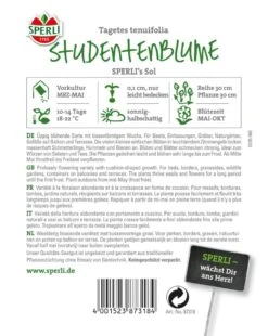 Tagetes Studentenblume Sol