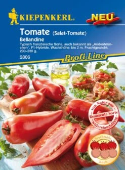 Salat-Tomate Bellandine F1, Typisch Französische Sorte Auch Als Andenhörnchen Bekannt, Resistent Uns Wiederstandsfähig