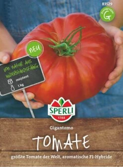 Tomate Gigantomo F1 (Fleischtomate) Größte Tomate Der Welt, Sehr Aromatisch, Fruchtgewicht Bis 1 Kg