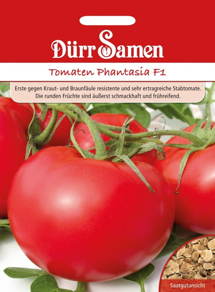 Tomate Stabtomate Phantasia F1 Krautfäuleresistent
