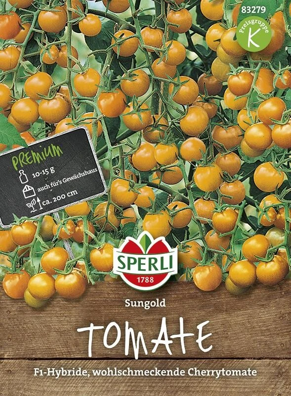 Tomate Sungold F1, Wohlschmeckende Cherrytomate Auch Fürs Gewächshaus – Bild 2