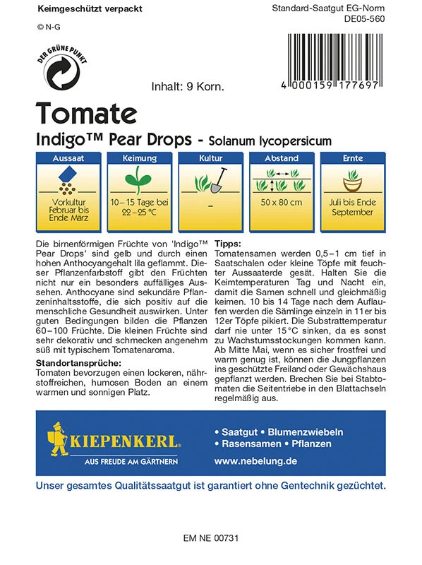 Tomaten Indigo Pear Drops, Durch Hohen Anthocyangehalt Lila Geflammt, Fruchtgewicht 15 - 20 G