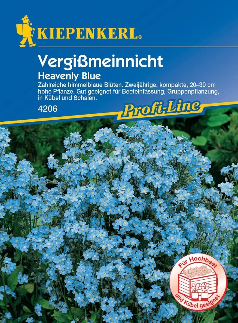 Vergissmeinnicht Heavenly Blue, Für Beeteinfassung Gruppenpflanzung Und Pflanzung In Kübel Und Schalen, Schnittblume – Bild 3