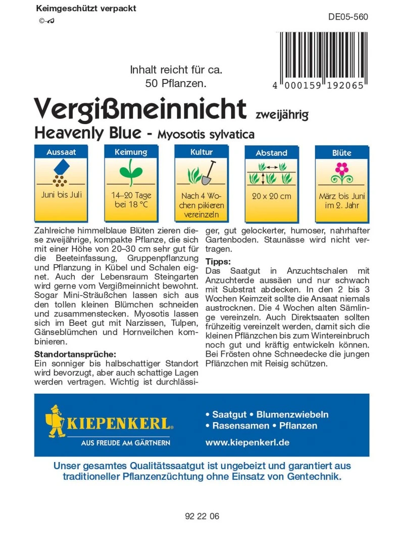Vergissmeinnicht Heavenly Blue, Für Beeteinfassung Gruppenpflanzung Und Pflanzung In Kübel Und Schalen, Schnittblume – Bild 2
