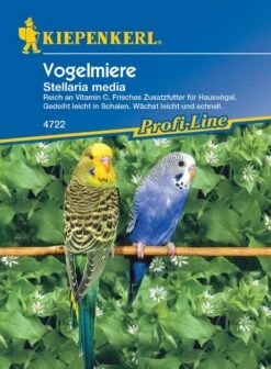 Vogelmiere, Frisches Zusatzfutter Für Ziervögel, Enthält Viel Vitamin C Und Mineralien