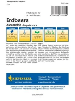 Walderdbeere Alexandria (Pillensaat), Immertragend - Ideal Zur Bepflanzung Von Kübeln Und Ampeln