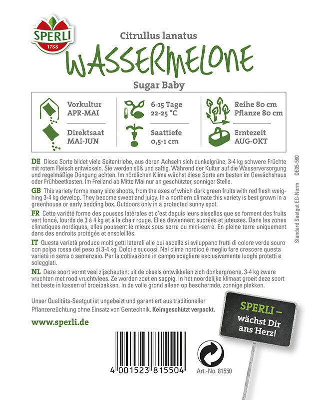 Wassermelone Sugar Baby – Bild 2