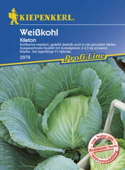 Weisskohl Kilaton Lagerfähig Resistent