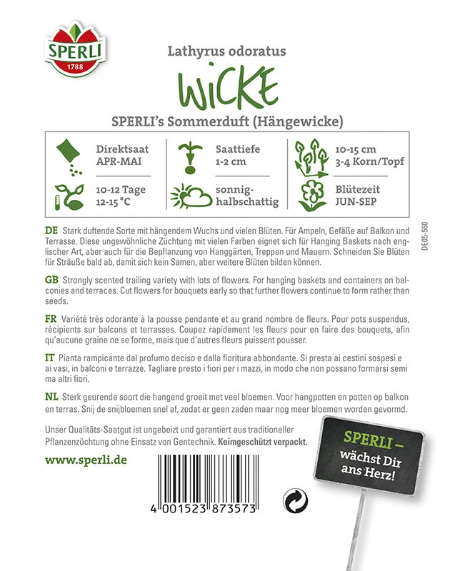 Wicke Sperling's Sommerduft, Hängende Wicke, Eignet Sich Als Gestaltungspflanze In Bauerngärten – Bild 2