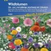 Wildblumenmischung Mit Kräutern Ein- Und Mehrjährige Mischung MEGA-PACK