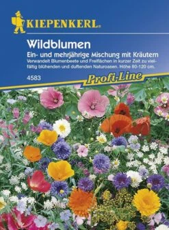 Wildblumenmischung Mit Kräutern Ein- Und Mehrjährige Mischung MEGA-PACK
