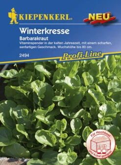 Winterkresse (Barbarakraut), Optimale Vitaminspender In Der Kalten Jahreszeit, Passt Gut In Salate Zu Kräuterquark Oder Aufs Brot