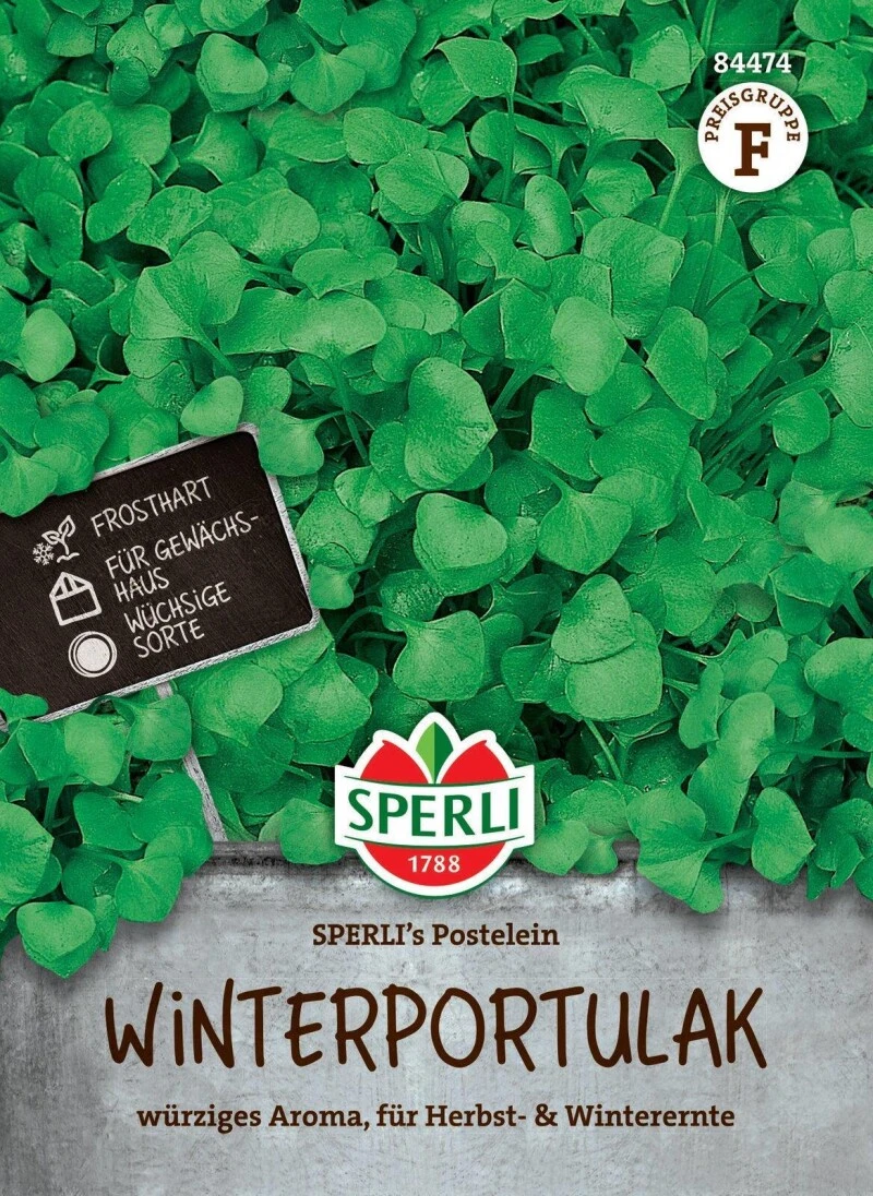 Winterportulak SPERLI's Postelein, Frosthart, Freiland & Gewächshaus, Wüchsig, Saatgut Von Sperli – Bild 2
