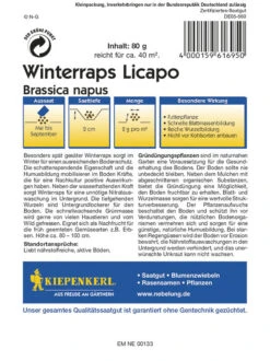 Winterraps Gründünger Portion 80g