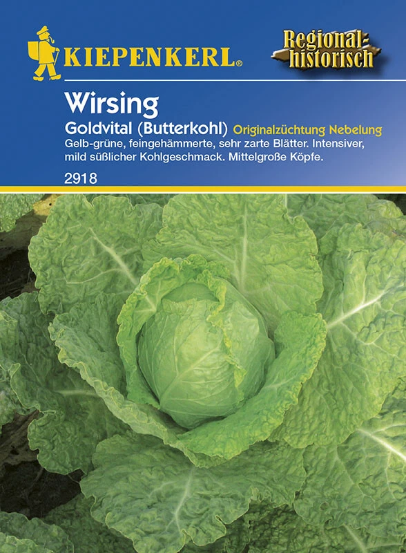 Wirsing Butterkohl Goldvital