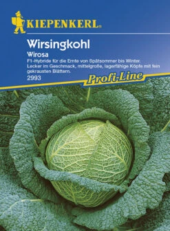 Wirsing Wirosa, F1, Anbausichere Züchtung, Sehr Fein Gekraustes Umblatt, Große Runde Köpfe