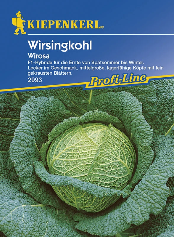 Wirsing Wirosa, F1, Anbausichere Züchtung, Sehr Fein Gekraustes Umblatt, Große Runde Köpfe