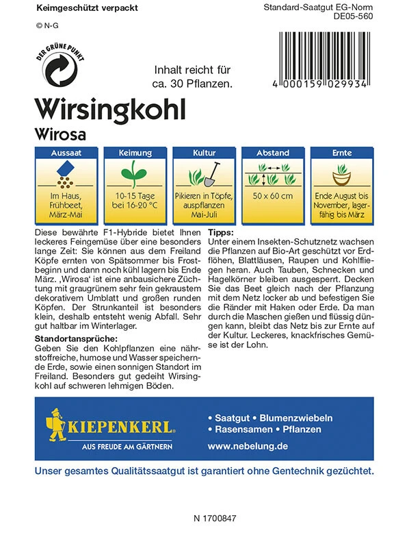 Wirsing Wirosa, F1, Anbausichere Züchtung, Sehr Fein Gekraustes Umblatt, Große Runde Köpfe – Bild 2