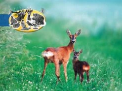 WSM 2Wildschutzmischung 10kg