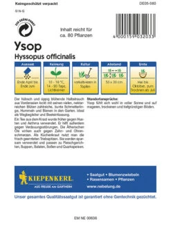 Ysop (Hyssopus Officinalis), üppig Blühender Halbstrauch Aus Vorderasien, Nektarspender Für Nützlinge