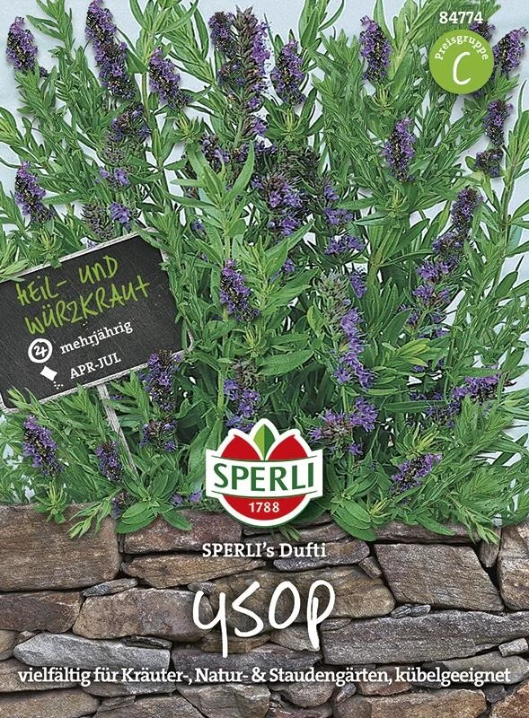 Ysop SPERLING´s Dufti – Bild 2