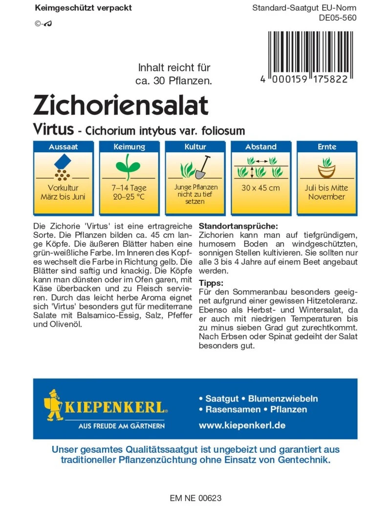 Zichoriensalat Virtus F1 (Zuckerhutsalat), Feste Köpfe Mit Großen Blättern – Bild 2