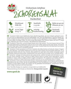 Zichoriensalat Zuckerhut