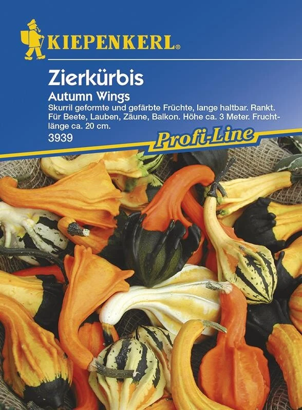 Zierkürbis Autumn Wings | Skurril Geformte Früchte In Auffälligen Farben – Bild 2