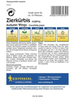 Zierkürbis Autumn Wings | Skurril Geformte Früchte In Auffälligen Farben