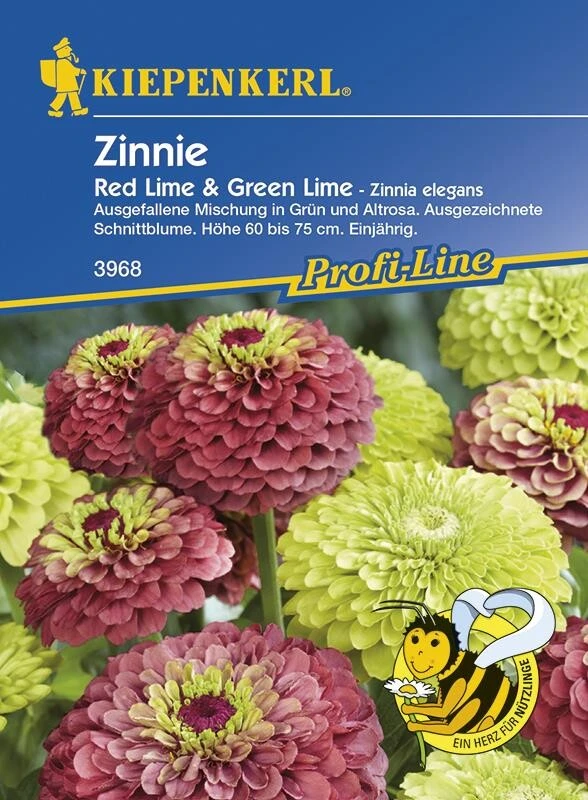 Zinien Zinnie Elegans Red Lime & Green Lime