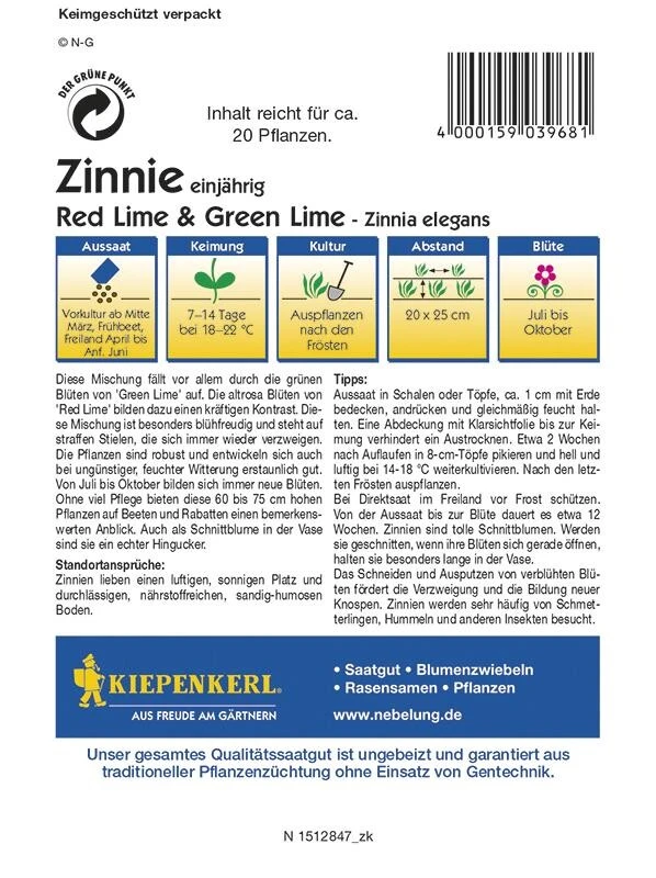 Zinien Zinnie Elegans Red Lime & Green Lime – Bild 2
