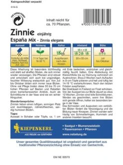 Zinnia Zinnie Espana Mix