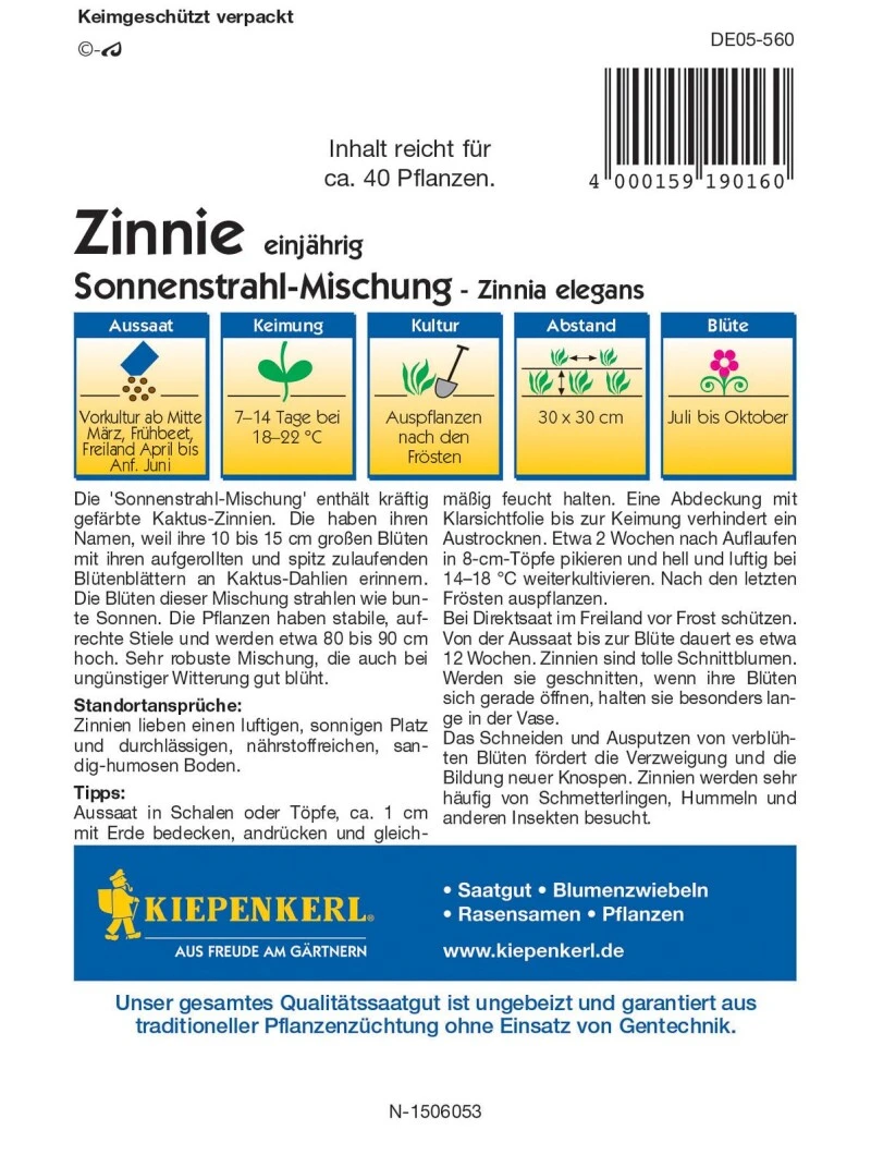 Zinnie Sonnenstrahl-Mischung, Extra Große Gefranste Blüten Mit Wunderschönem Farbspiel, Blüte Von Juni Bis Zum Frost – Bild 3