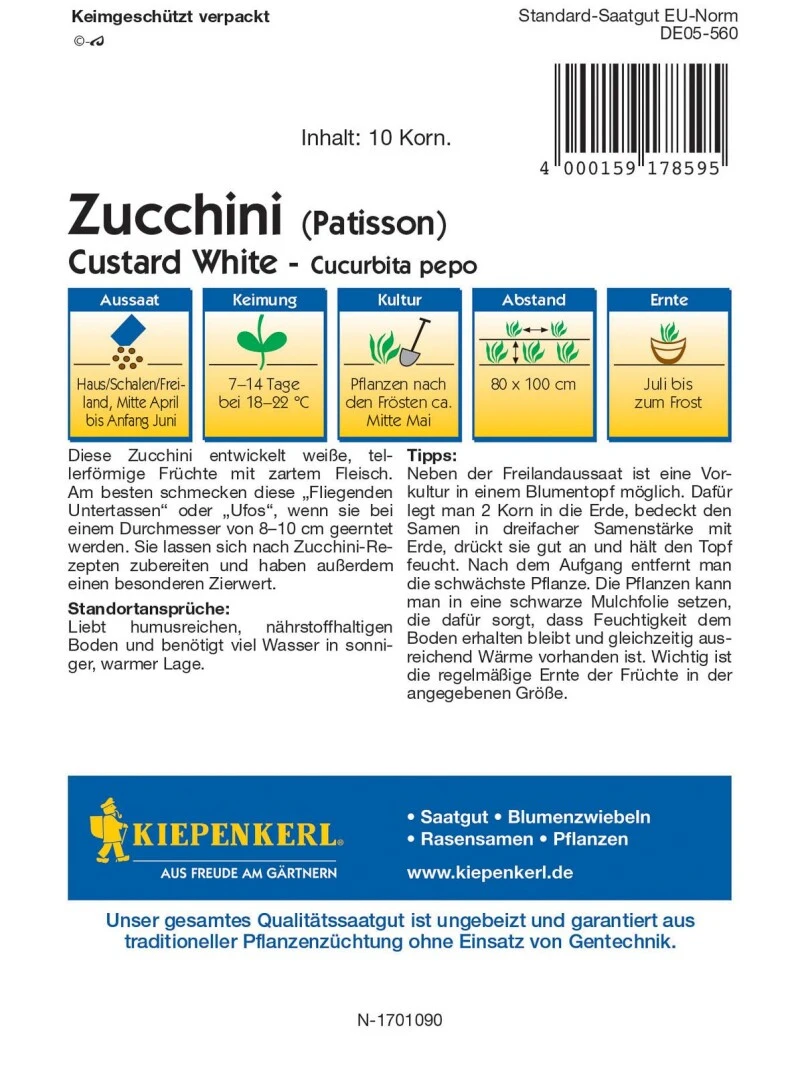 Zucchini Custard White, Entwickelt Weiße Tellerförmige Früchte Mit Zartem Fleisch, Essbar Oder Als Deko – Bild 3